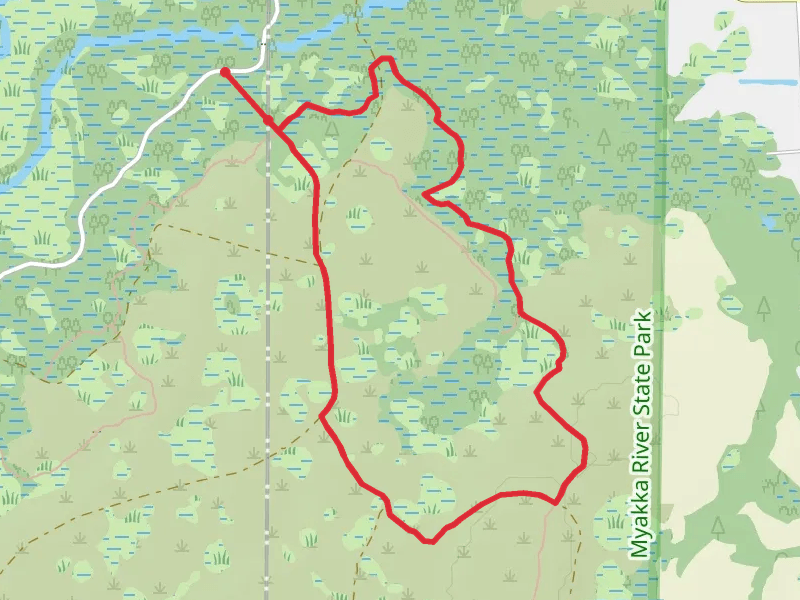Myakka Hiking Trail and Bee Island Road Loop