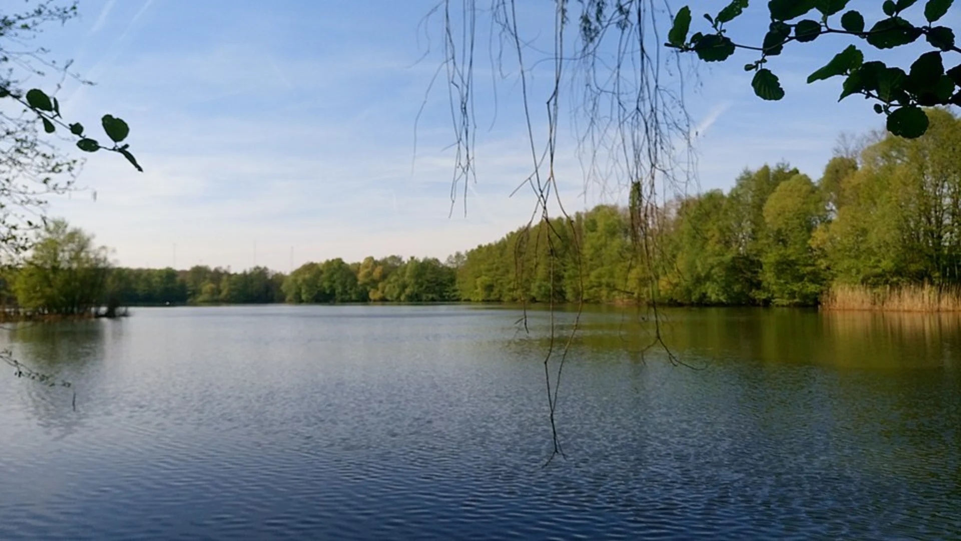 An image depicting the trail Baggersee Loop and its surrounding area.