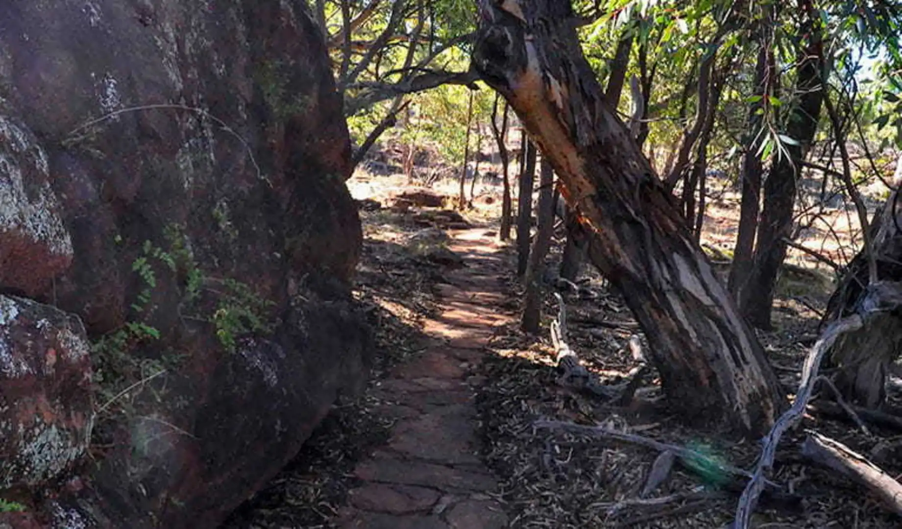 An image depicting the trail Mount Grenfell Art Site Walk and its surrounding area.