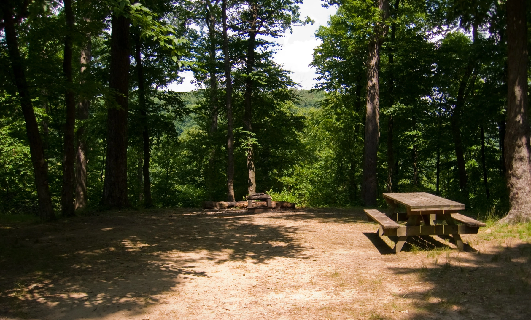 An image depicting the trail Raccoon Creek Loop and its surrounding area.