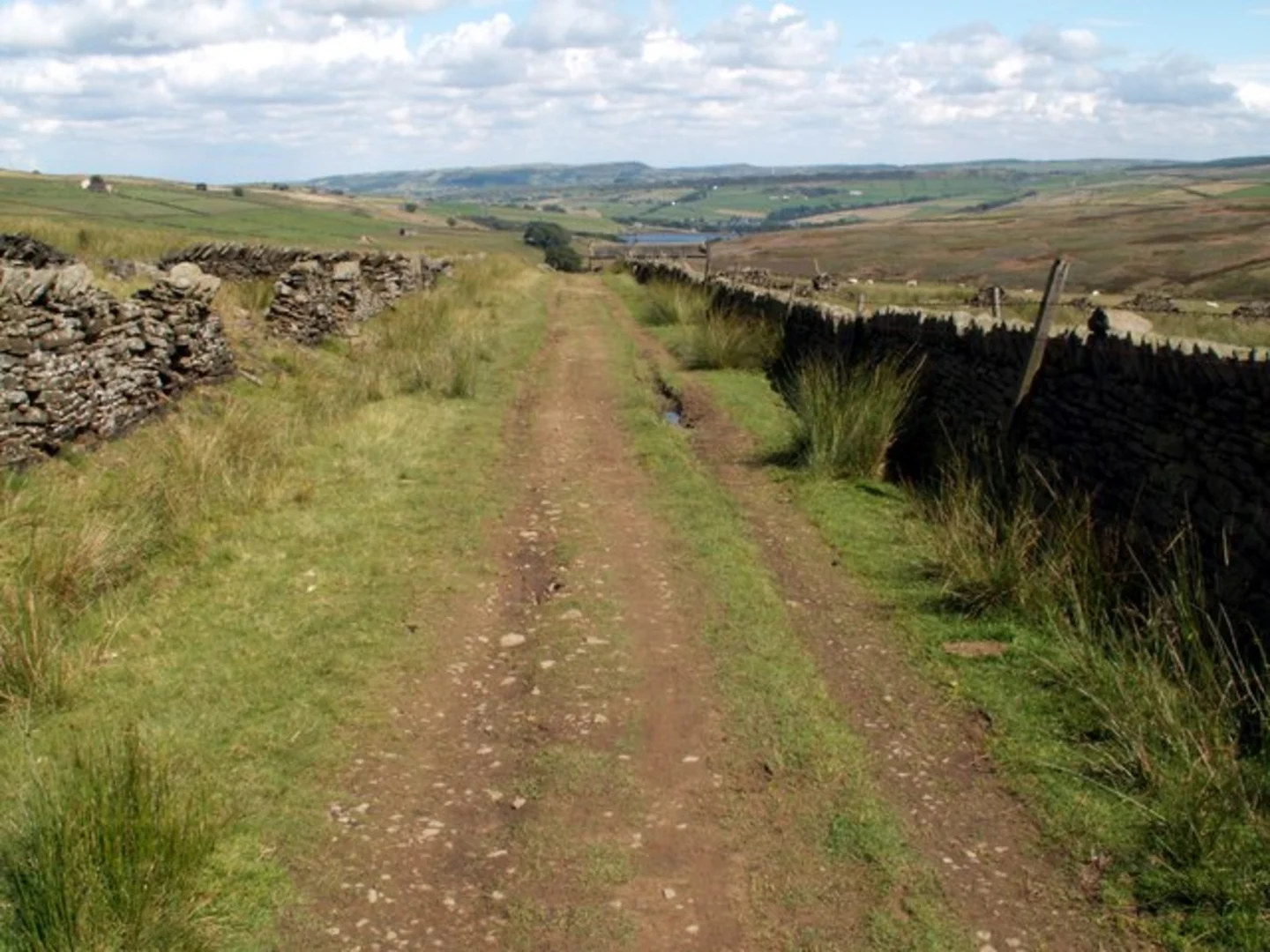 An image depicting the trail Digley reservoir and Good Bent Hey Plantation Loop and its surrounding area.