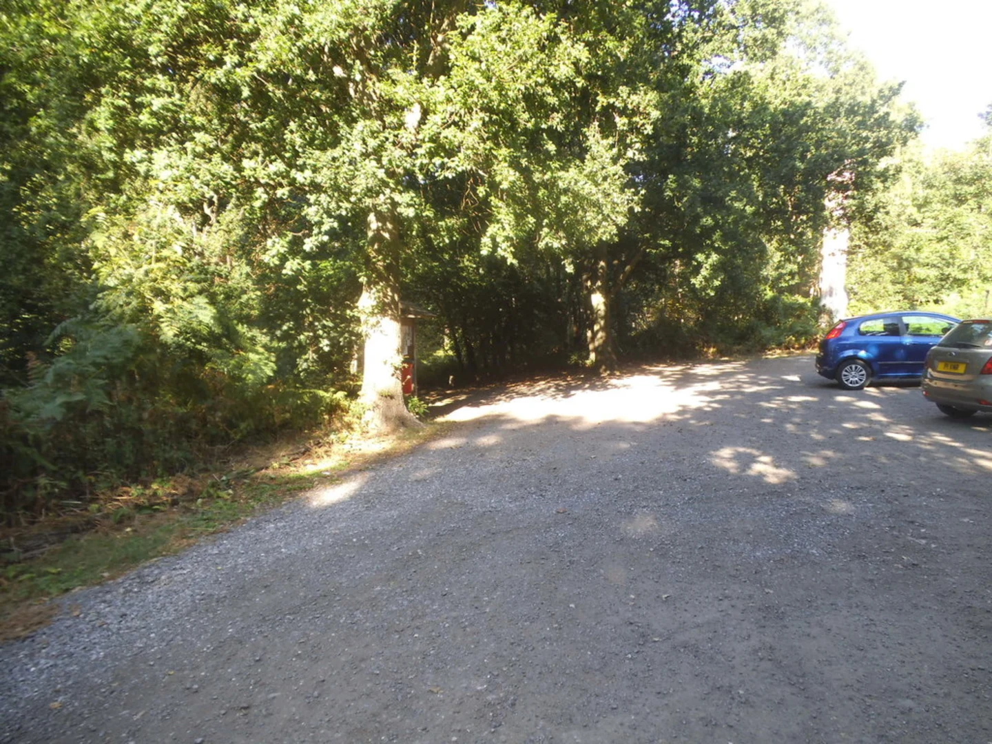 An image depicting the trail Witley Common Long Loop and its surrounding area.