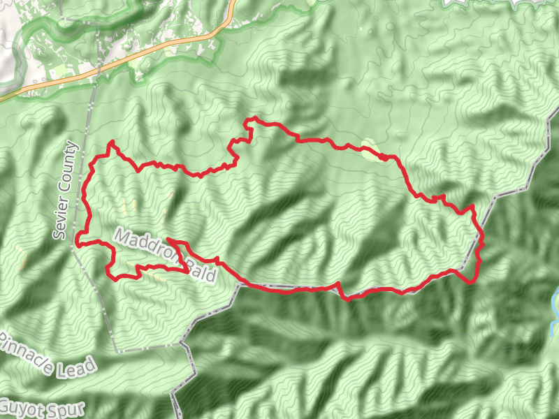 Appalachian Trail, Maddron Bald Trail and Low gap Trail