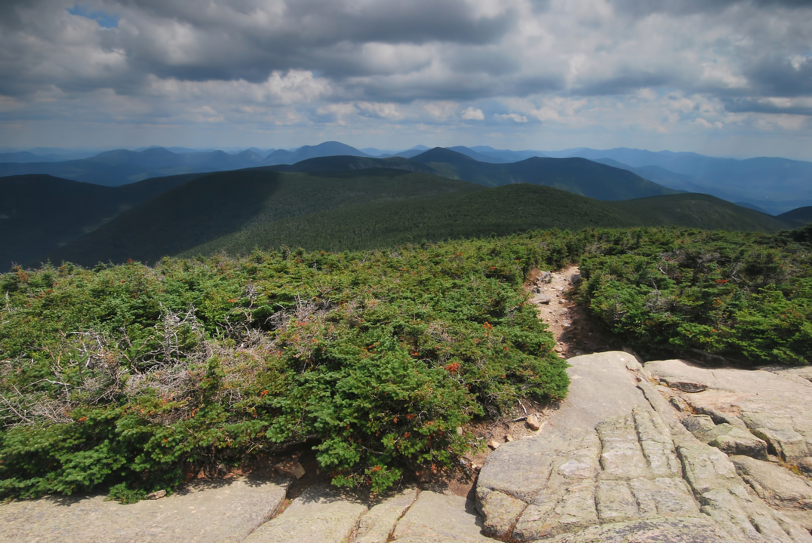 An image depicting the trail Cascade Path Trail and its surrounding area.