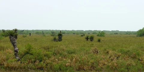 Laguna Atascosa Loop