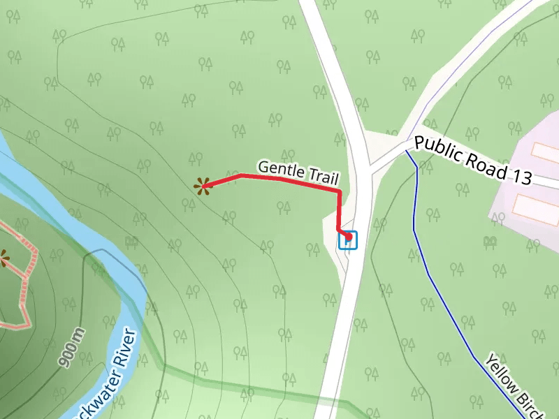 Gentle Trail