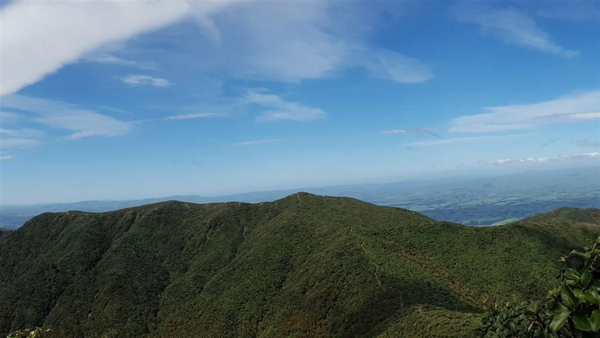 An image depicting the trail Maharahara Peak Track and its surrounding area.