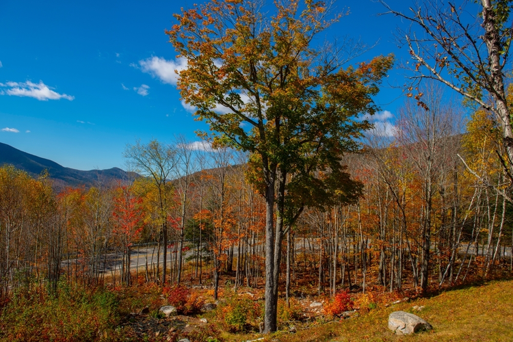 Hancock Notch Trail