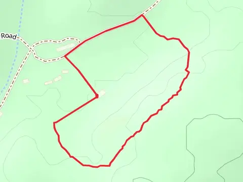 Main Park Road Loop