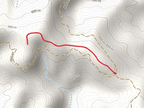 Madre Trail