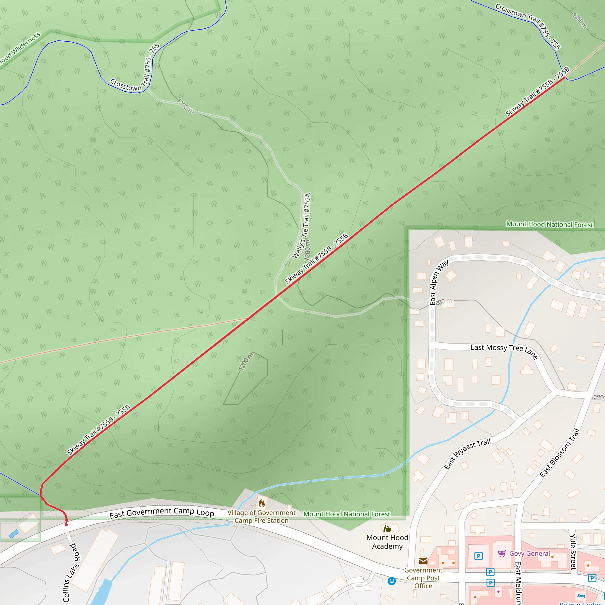 Skiway Trail mobile static map