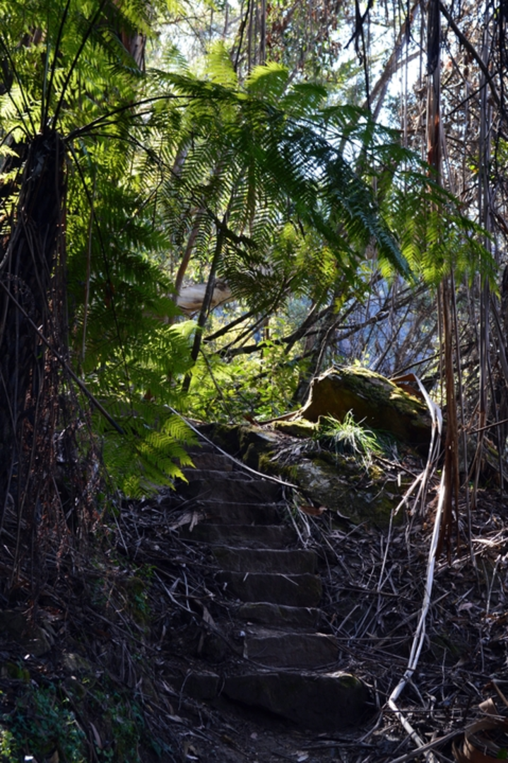 An image depicting the trail Ruined Castle Track and its surrounding area.