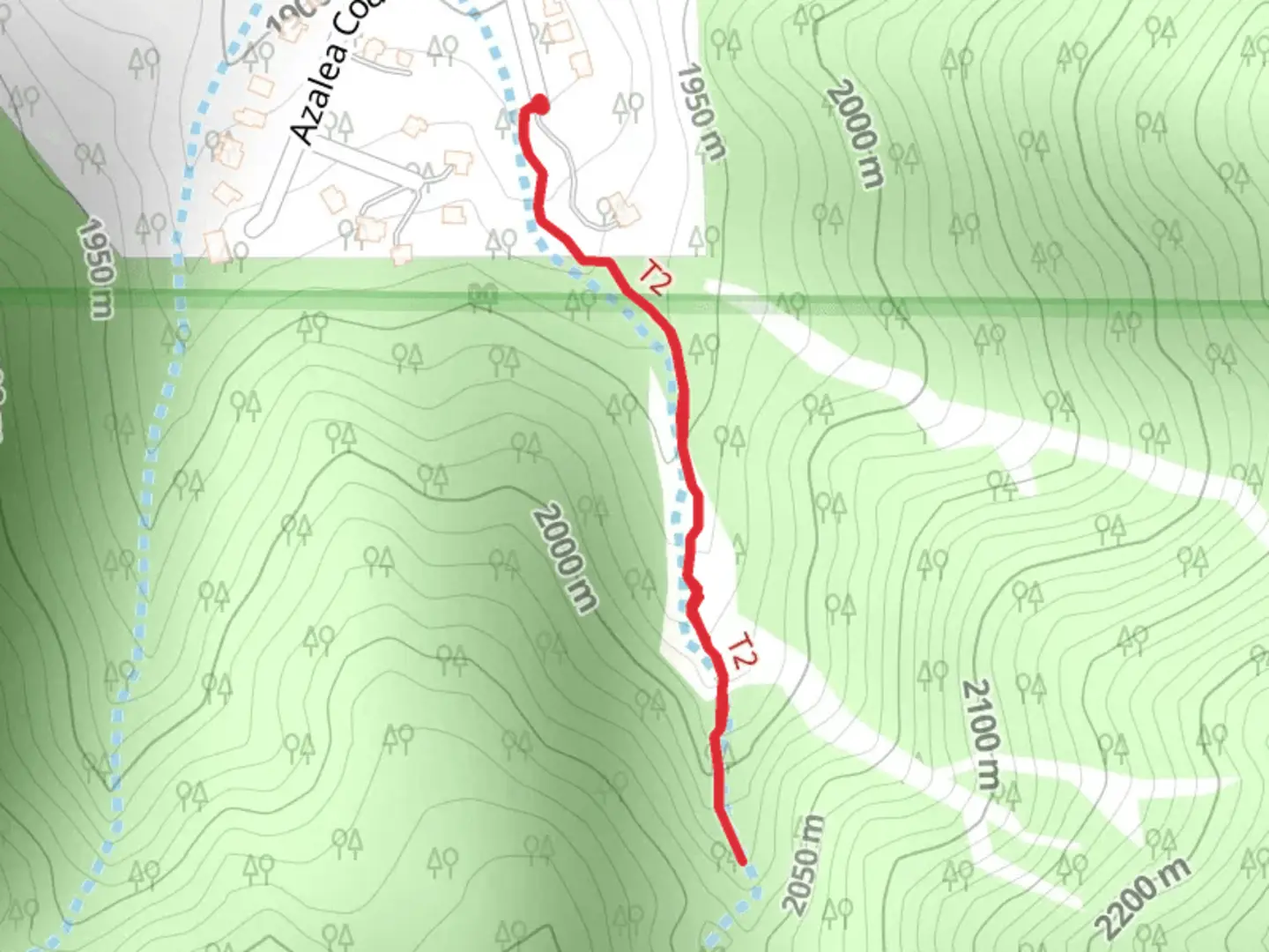An image depicting the trail Woodland Drive and its surrounding area.