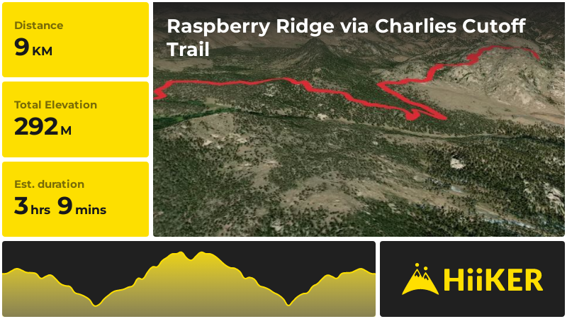 Raspberry Ridge via Charlies Cutoff Trail | Jefferson County | Colorad