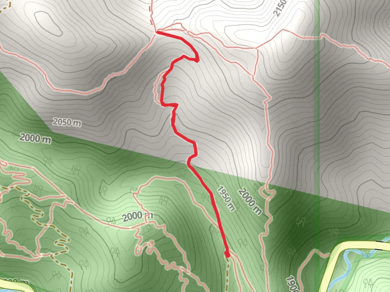 Baughman's Gulley Single Trail