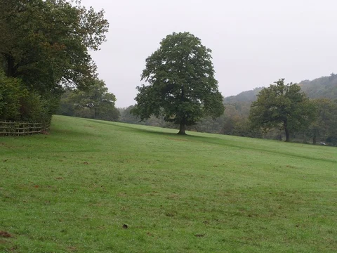 Banstead Wood and Ruffett Wood Loop - Chipstead