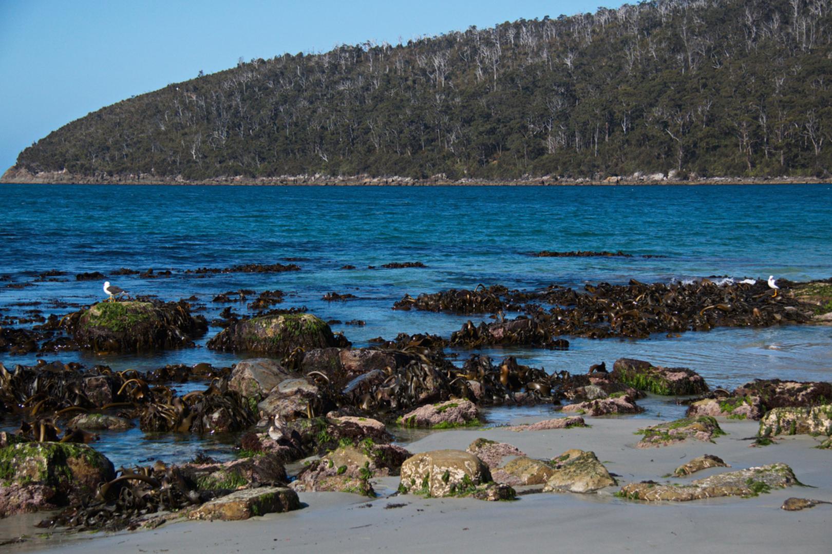 An image depicting the trail Bivouac Bay Walk and its surrounding area.