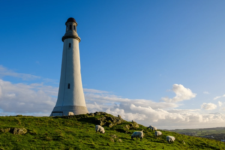 Railsgate Pill, Sir John's Hill and Roche Castle Loop