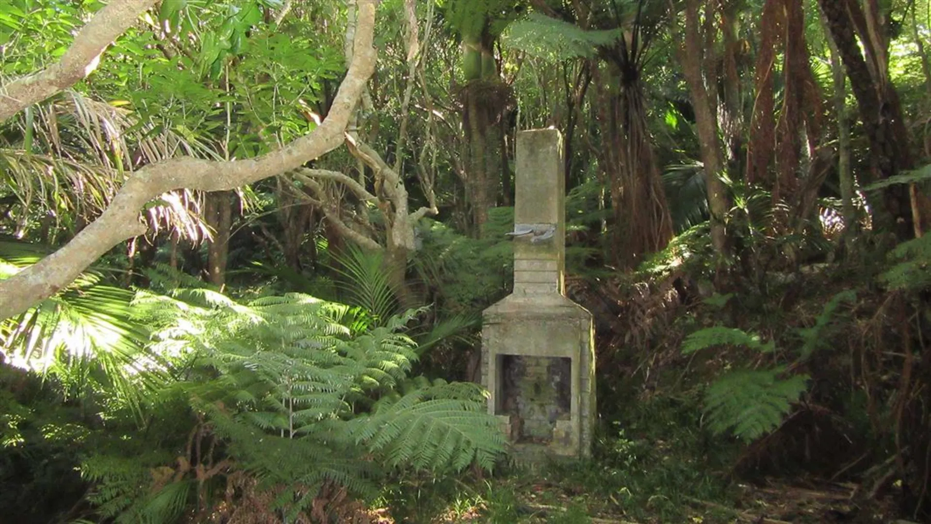 An image depicting the trail Oruawairua Walk and its surrounding area.