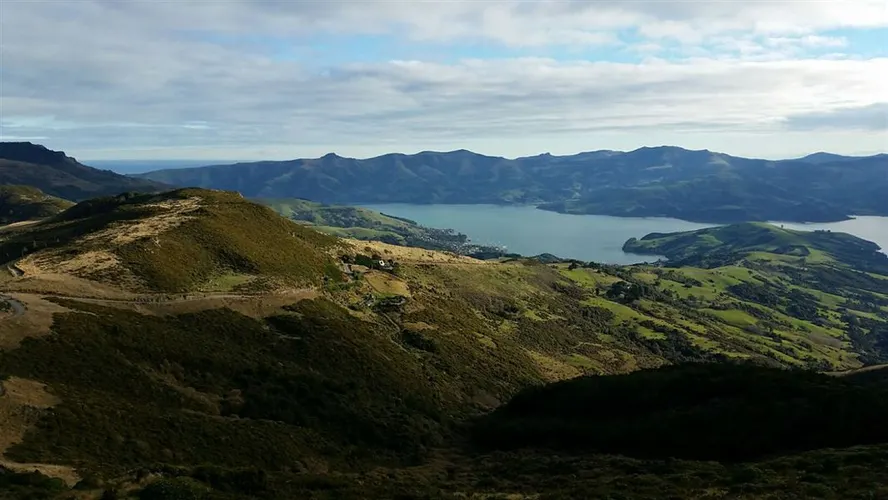 Ellangowan Scenic Reserve Walk