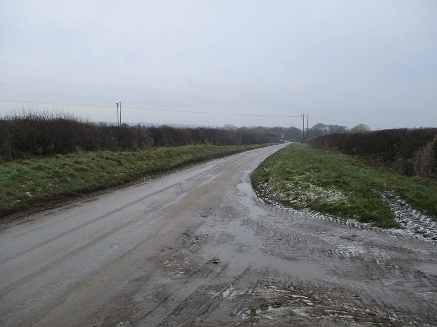 An image depicting the trail Burton Fleming Loop and its surrounding area.