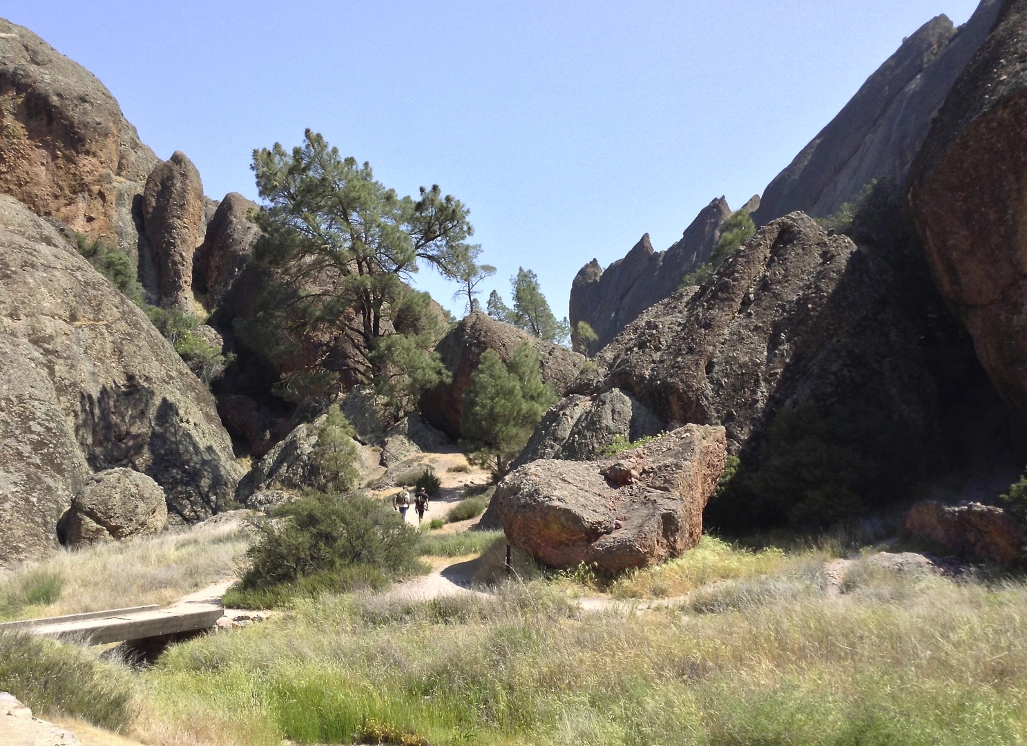 An image depicting the trail Balconies Caves and Old Pinnacles Trail and its surrounding area.