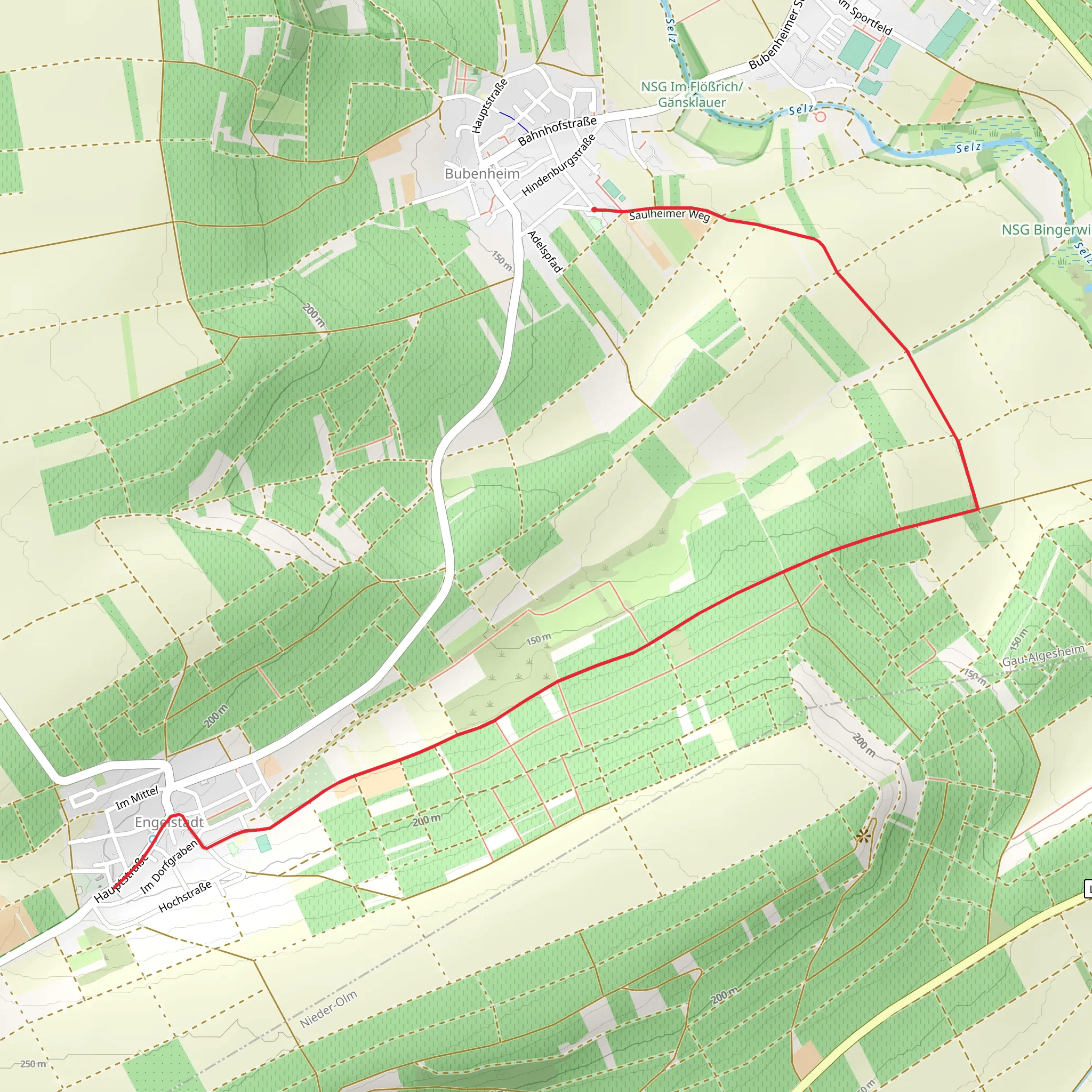 Bubenheim to Engelstadt via Bubenheim Selzwanderweg mobile static map