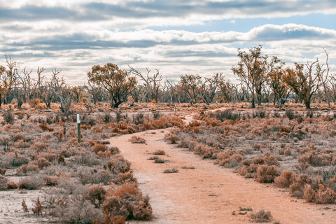 The Mallee Trail