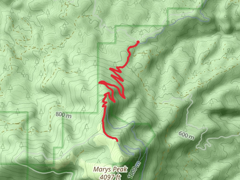 North Ridge Trail
