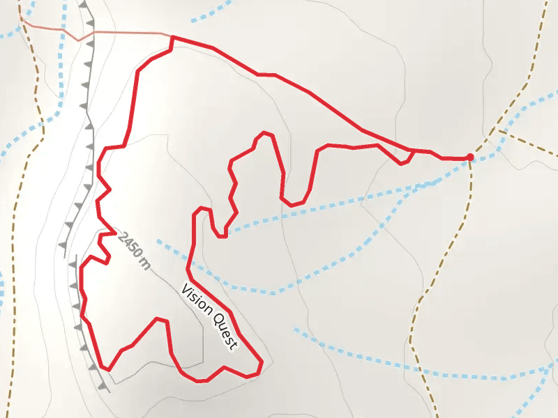 Vision Quest Loop