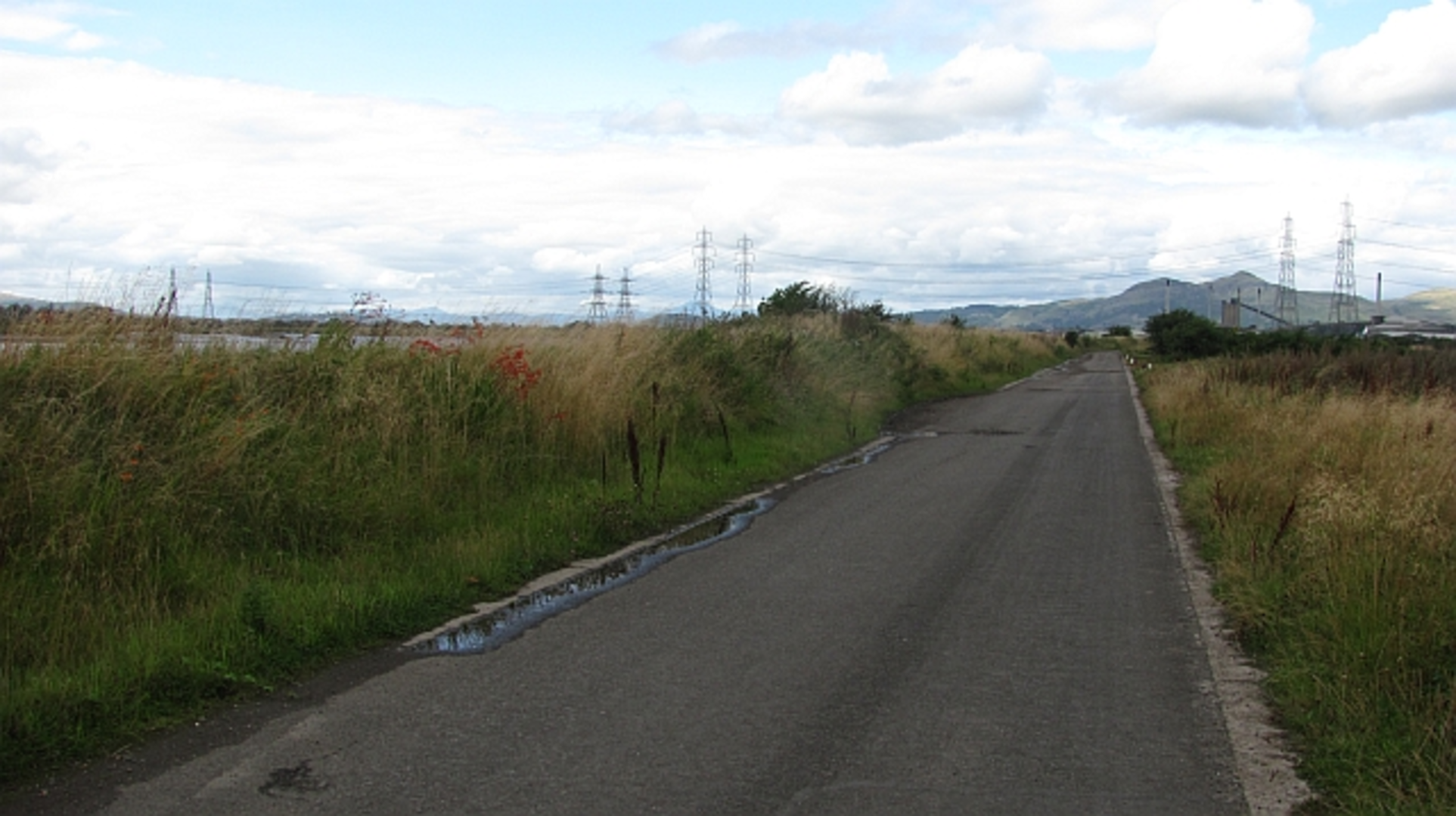 An image depicting the trail Black Devon Wetlands and its surrounding area.