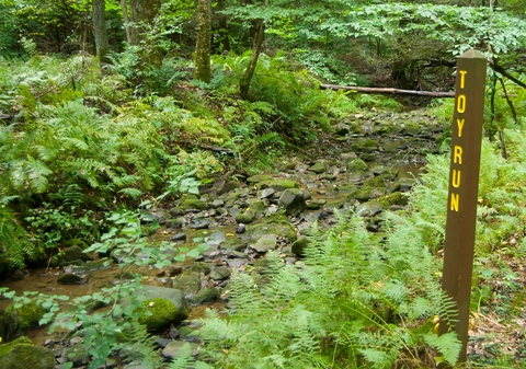 Oil Creek