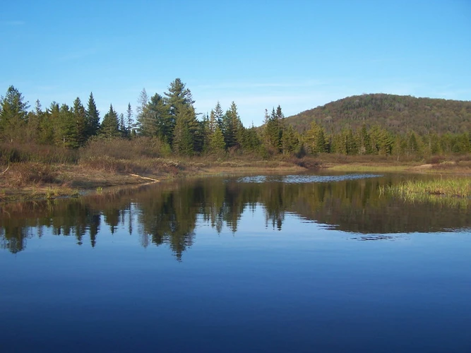 Cheney Pond Trail