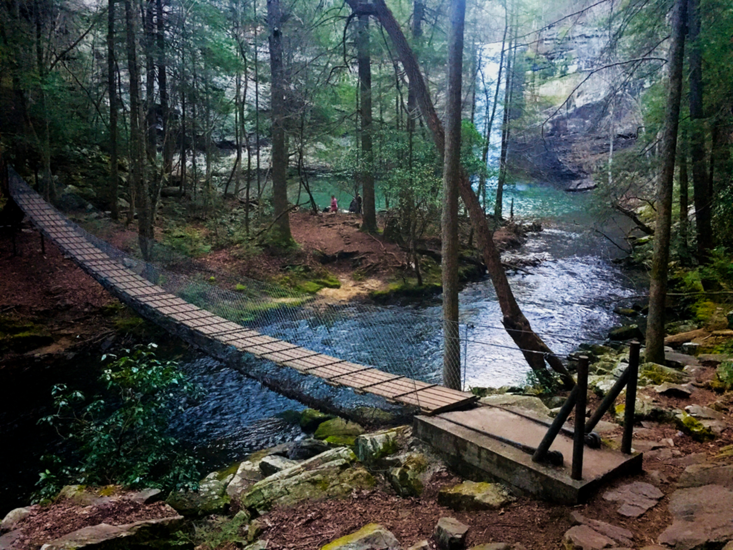 An image depicting the trail Fiery Gizzard Trail and its surrounding area.