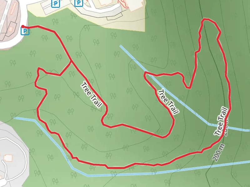 Tree Loop Trail