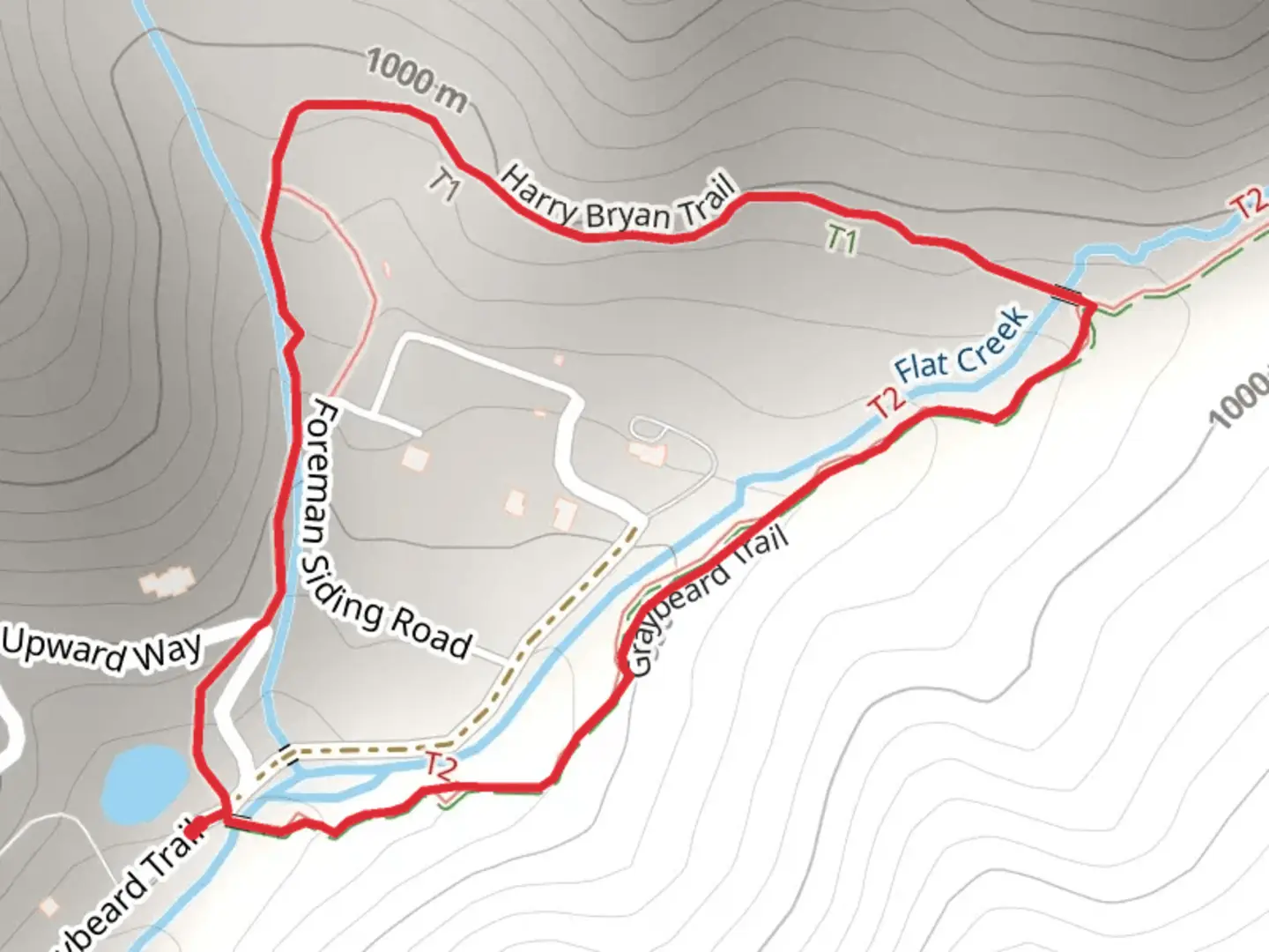 An image depicting the trail Graybeard - Harry Bryan - Sanctuary Loop Trail and its surrounding area.