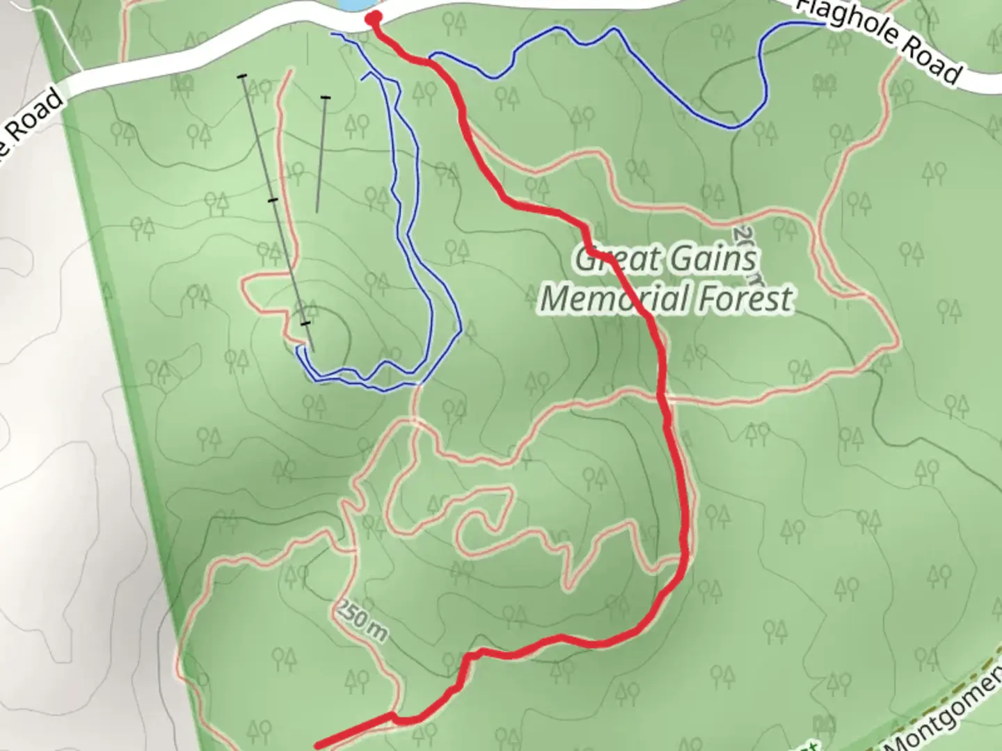 An image depicting the trail Flaghole Road Out and Back and its surrounding area.
