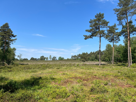 Landgoed Petrea and Zwolse Bos Loop