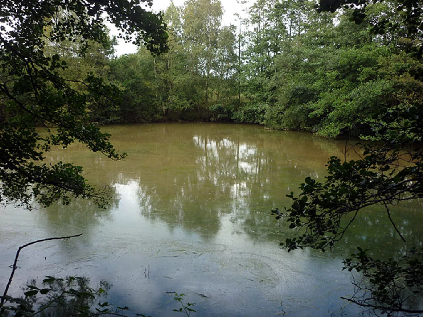 An image depicting the trail Wyresdale Lake Loop and its surrounding area.