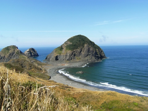 Shoreline Highway Loop