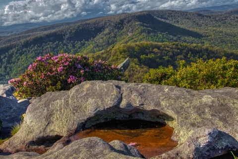 Brushy Ridge Trail