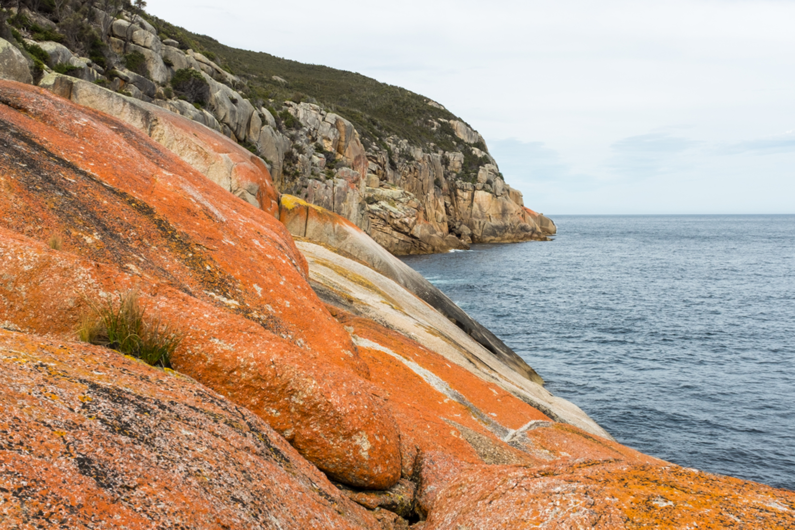 An image depicting the trail Haunted Bay Walk and its surrounding area.