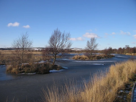 Cors Caron Loop