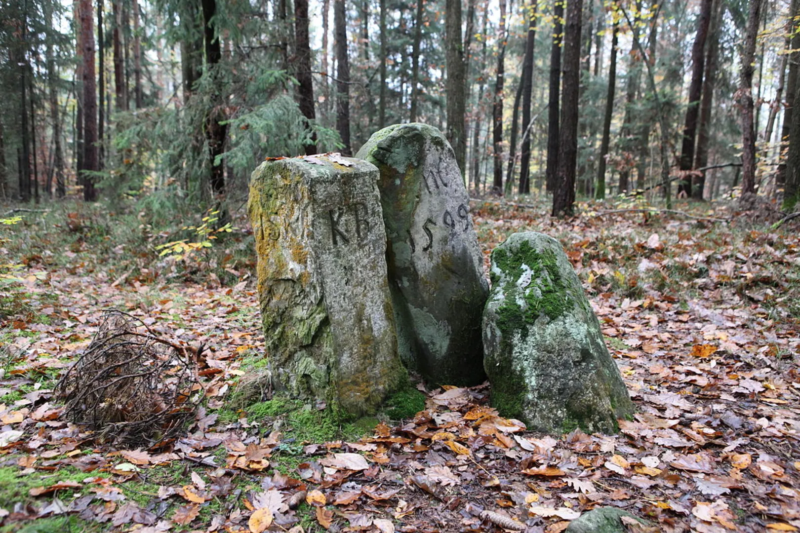 An image depicting the trail Reisinger Stein and Ruppberghuette via Rennsteig Dolmar Weg and its surrounding area.