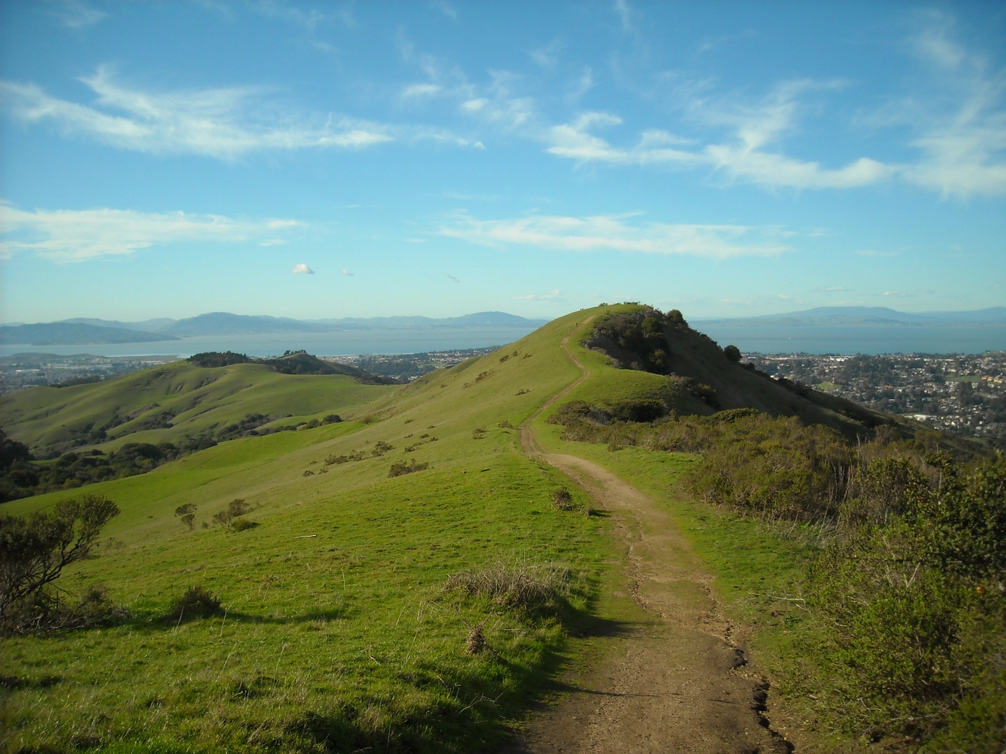An image depicting the trail La Colina - Belgum - San Pablo Ridge -Nimitz Way Conlon Loop Trail and its surrounding area.