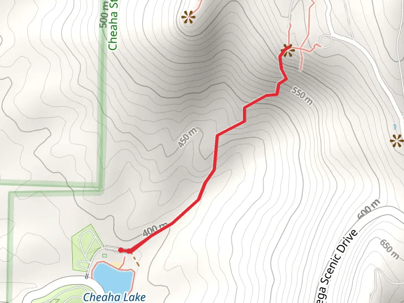 Lake Trail - Cheaha Lake