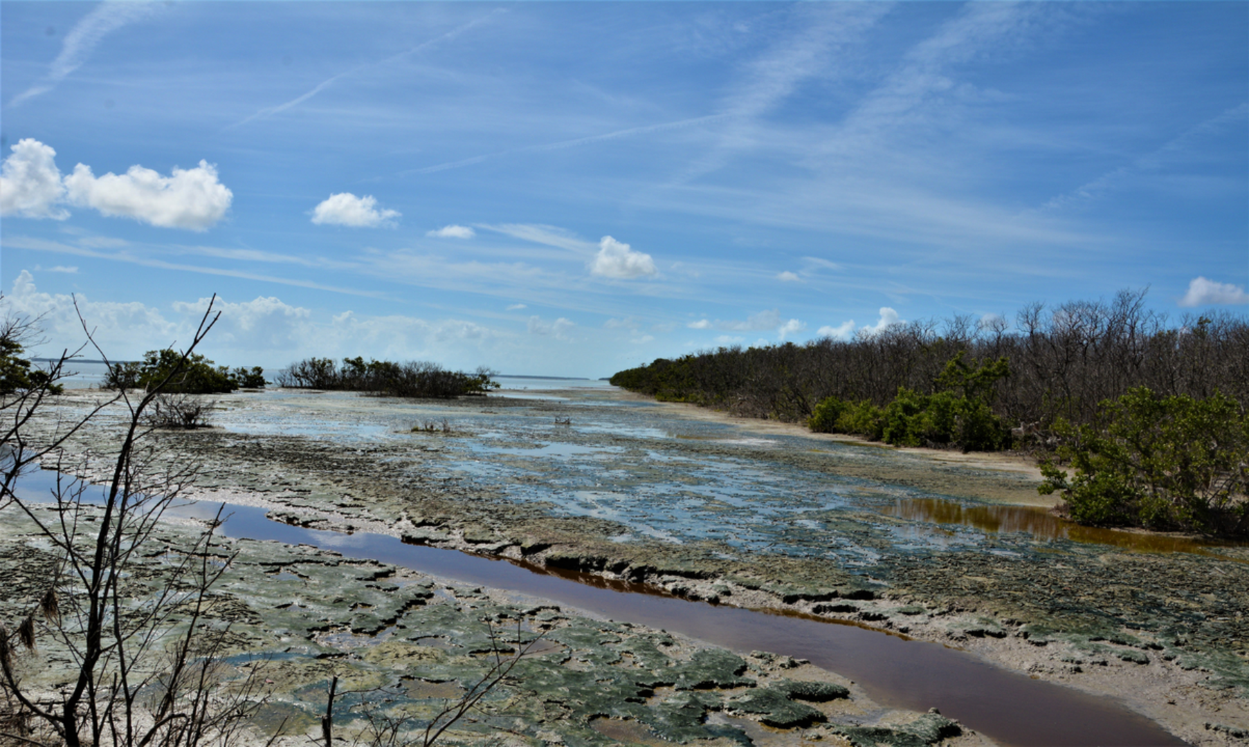 An image depicting the trail Rowdy Bend Trail and its surrounding area.