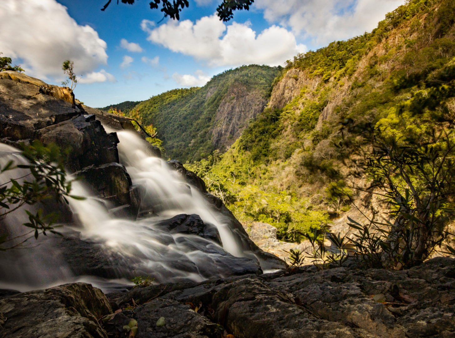 An image depicting the trail Twin Bridges Track and its surrounding area.