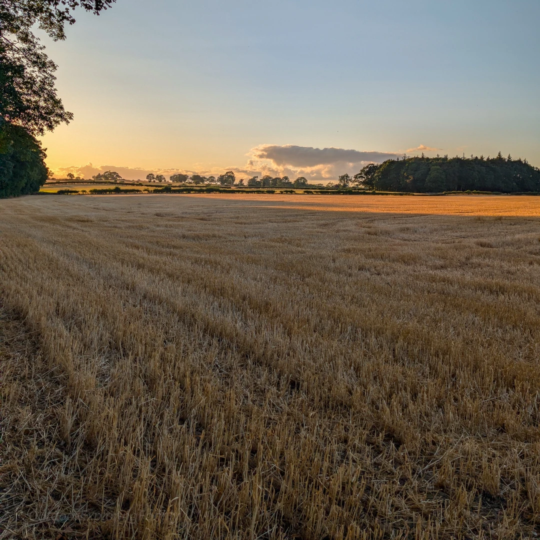 An image depicting the trail Egglestone Abbey to the Meeting of the Waters North Bank Walk and its surrounding area.