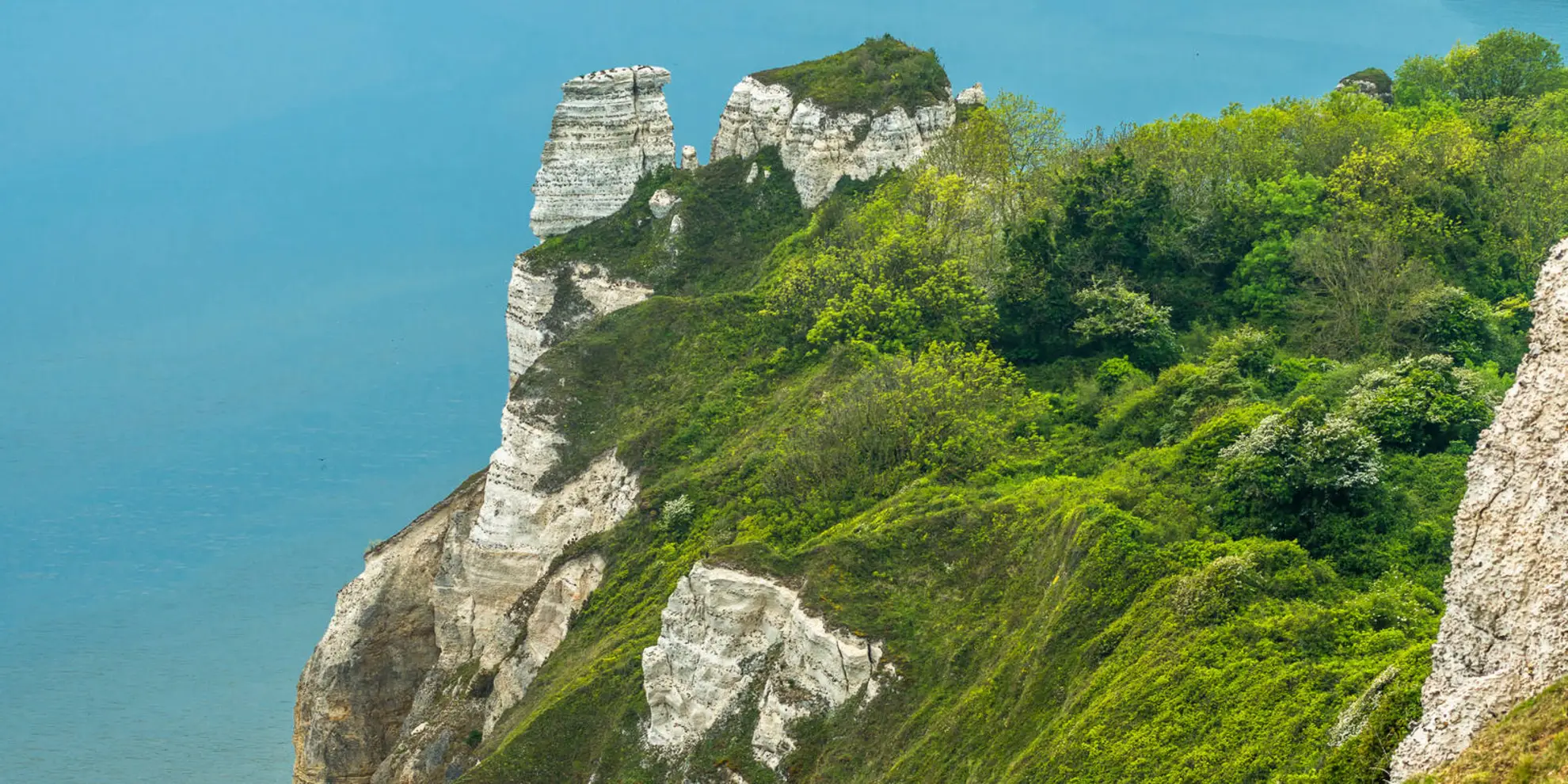 An image depicting the trail Branscombe to Beer Coastal Walk and its surrounding area.